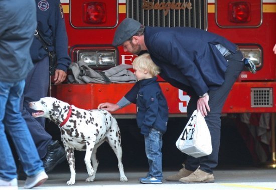 Лив Шрайбер