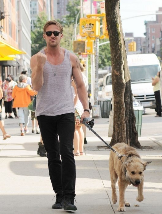 Лучшие торсы 2013