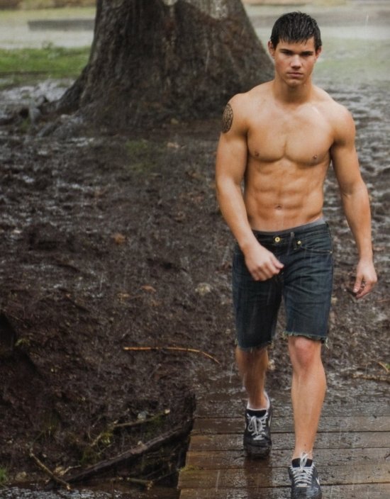 Лучшие торсы 2013