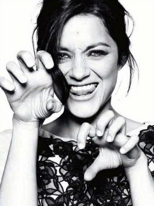 Марион Котийяр