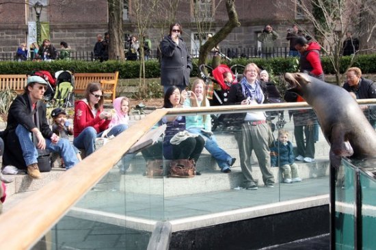 Мэтью Макконахи