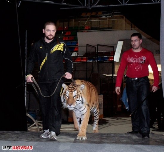 Николай Басков