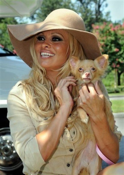 Памела Андерсон