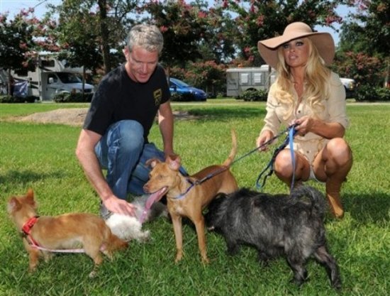 Памела Андерсон