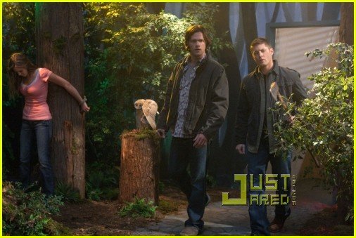 Пэрис Хилтон для