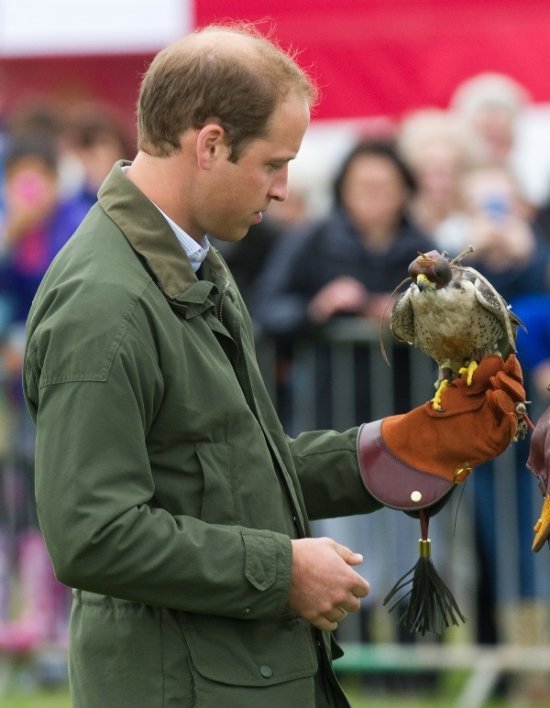 принц Уильям