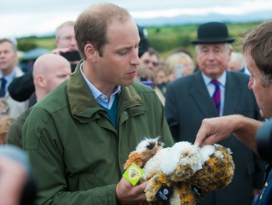 принц Уильям