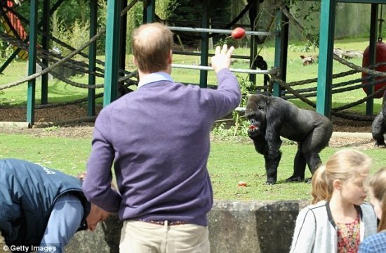 принц Уильям