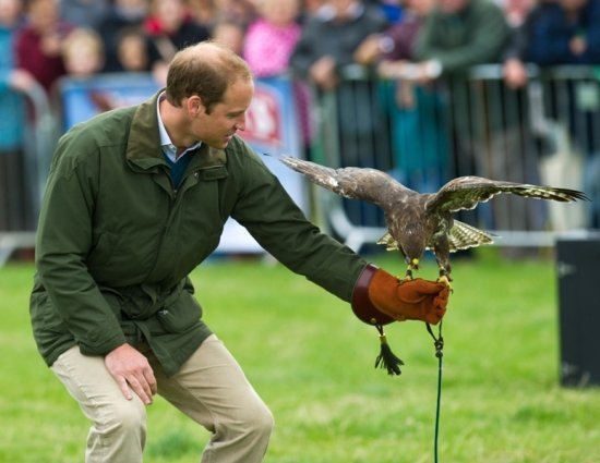 принц Уильям