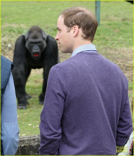 принц Уильям