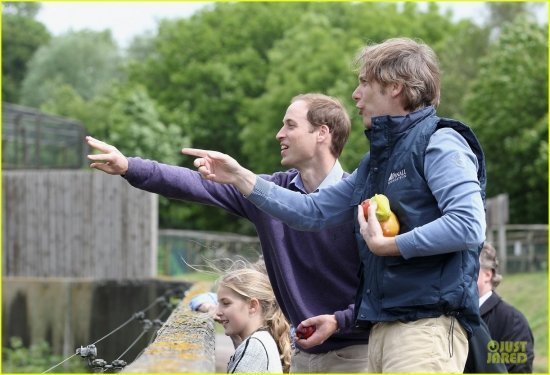 принц Уильям