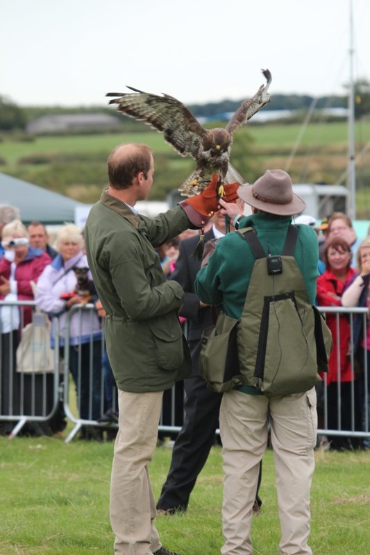 принц Уильям