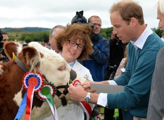 принц Уильям