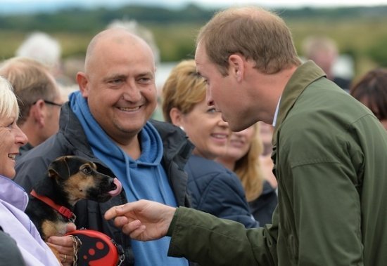 принц Уильям