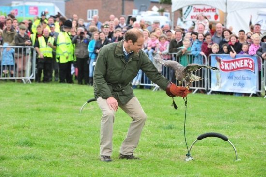 принц Уильям