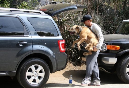 Райан Гослинг