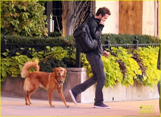 Райан Рейнольдс