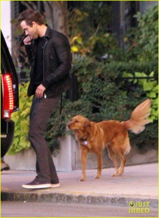 Райан Рейнольдс