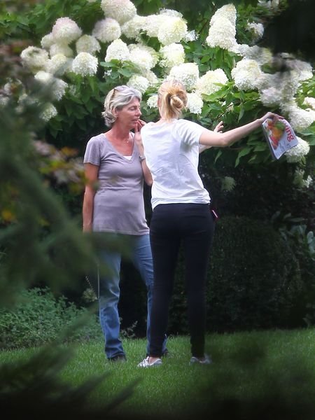 Райан Рейнольдс