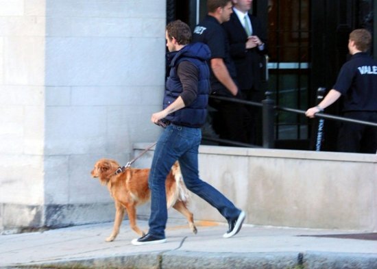 Райан Рейнольдс