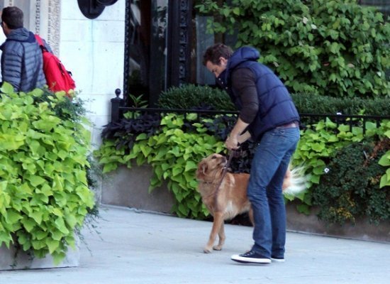 Райан Рейнольдс