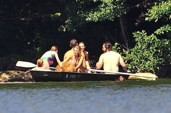 Райан Рейнольдс