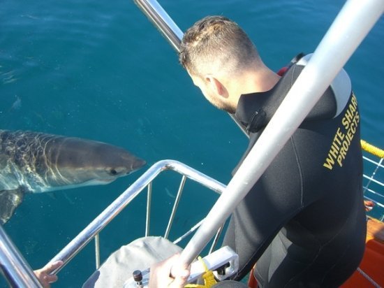 Рикки Мартин