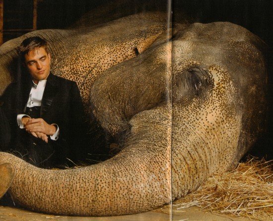 Роберт Паттинсон