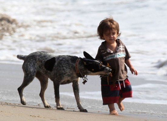 семья Мэтью Макконахи