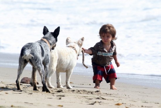 семья Мэтью Макконахи