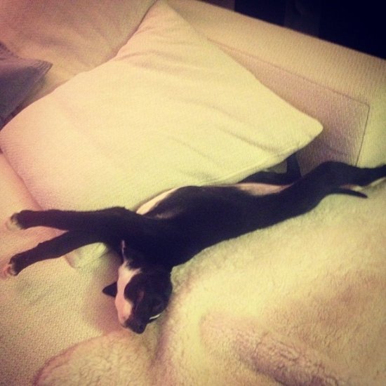 Сергей Лазарев