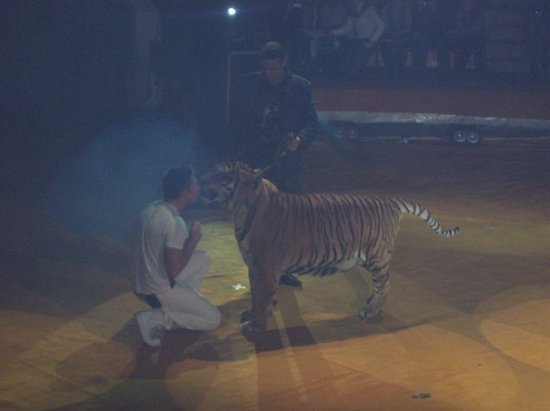 Сергей Лазарев