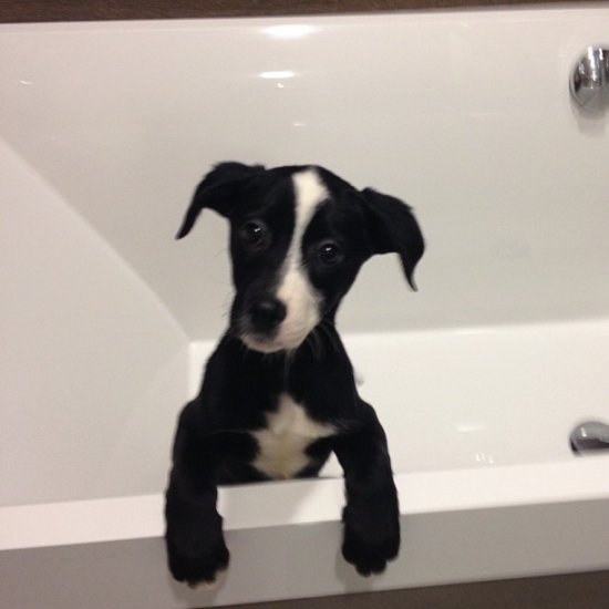 Сергей Лазарев