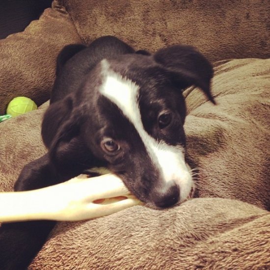 Сергей Лазарев