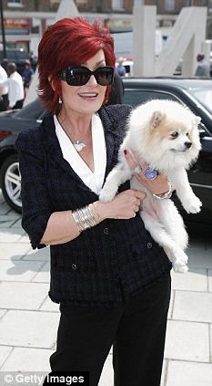 шэроносборн1