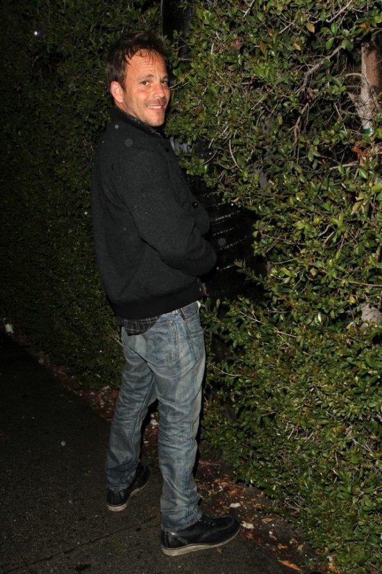 Стивен Дорфф