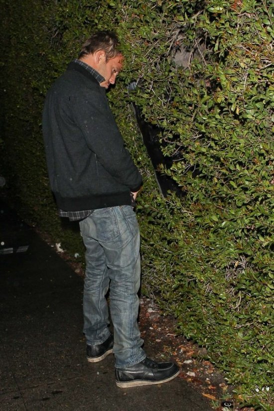 Стивен Дорфф