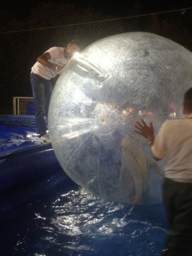 Вера Брежнева