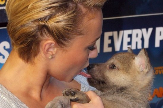 Хайден Панеттьери