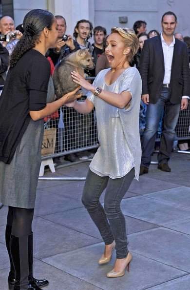 Хайден Панеттьери