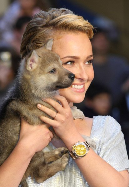 Хайден Панеттьери