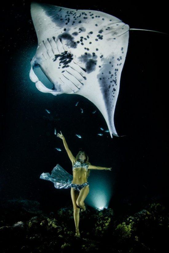 Ханна Фрезер