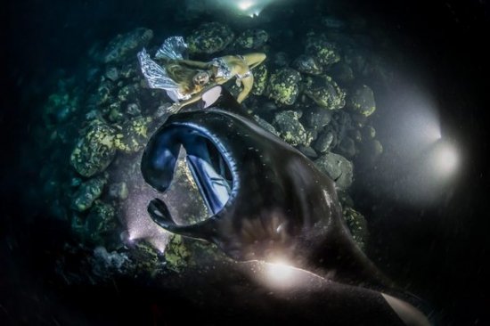 Ханна Фрезер