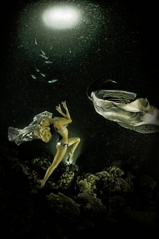 Ханна Фрезер