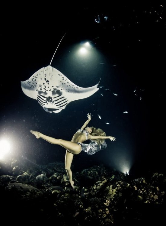 Ханна Фрезер