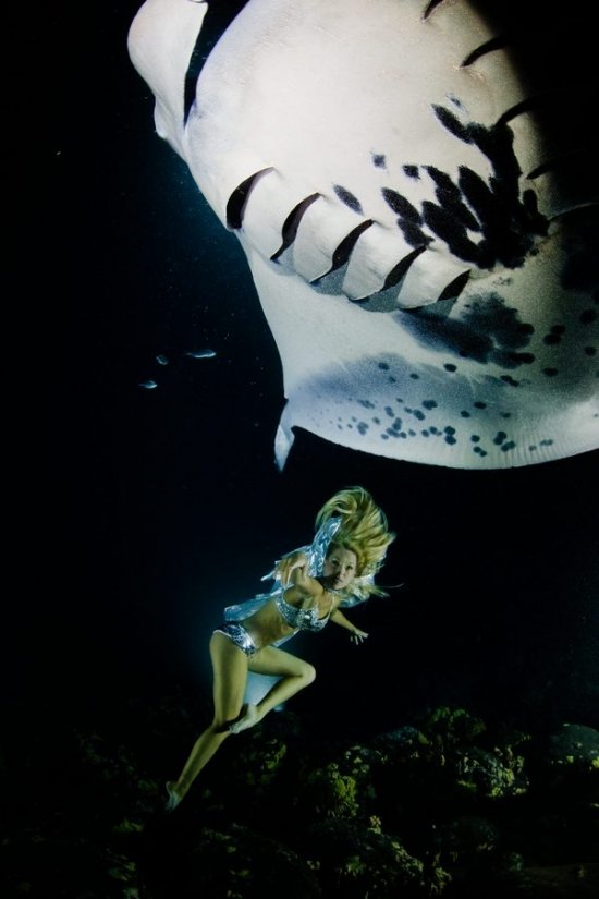 Ханна Фрезер