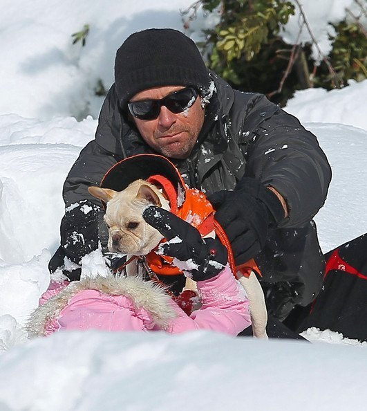 Хью Джекмен и Ава