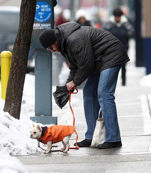 Хью Джекмен и Ава