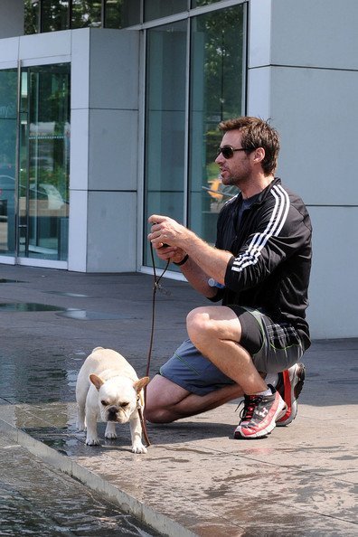 Хью Джекмен и Ава