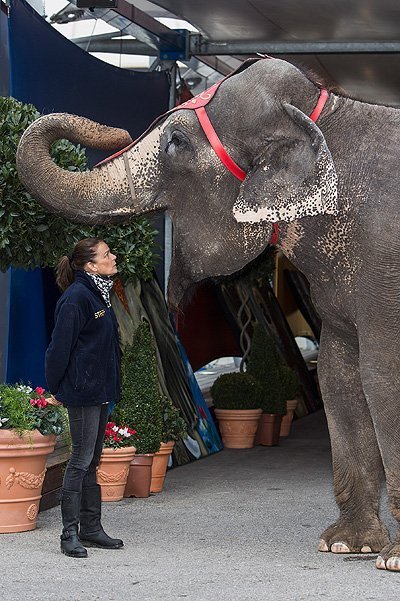 Princess Stephanie Of Monaco Gives Press Conference To Launch the 39th International Circus Festival